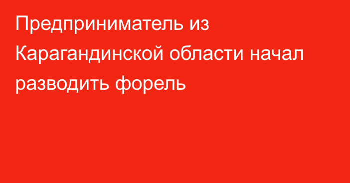 Предприниматель из Карагандинской области начал разводить форель