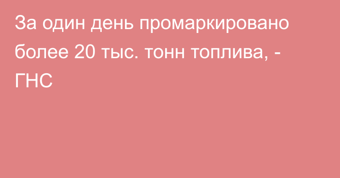 За один день промаркировано более 20 тыс. тонн топлива, - ГНС