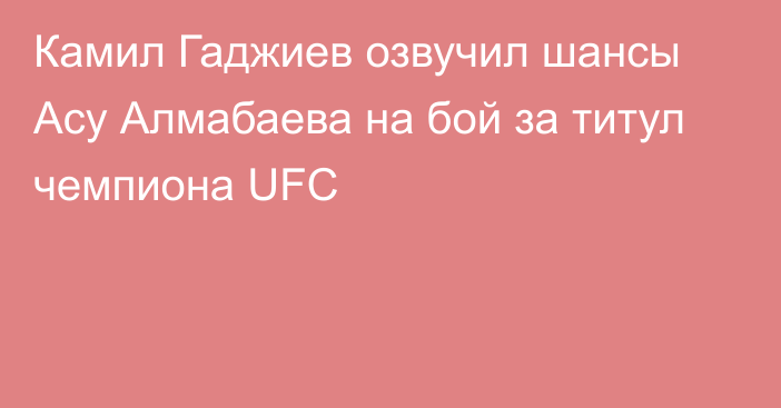 Камил Гаджиев озвучил шансы Асу Алмабаева на бой за титул чемпиона UFC