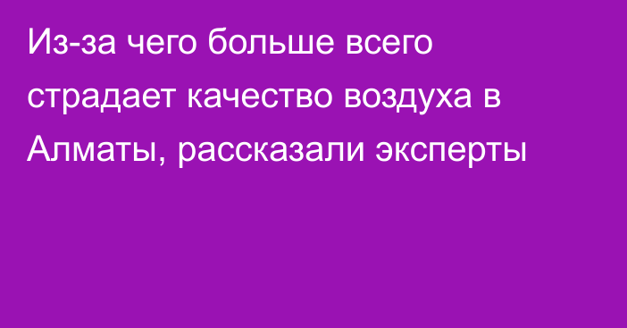 Из-за чего больше всего страдает качество воздуха в Алматы, рассказали эксперты