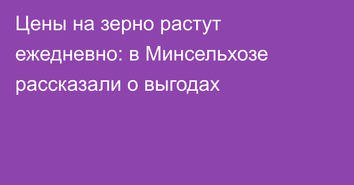 Цены на зерно растут ежедневно: в Минсельхозе рассказали о выгодах