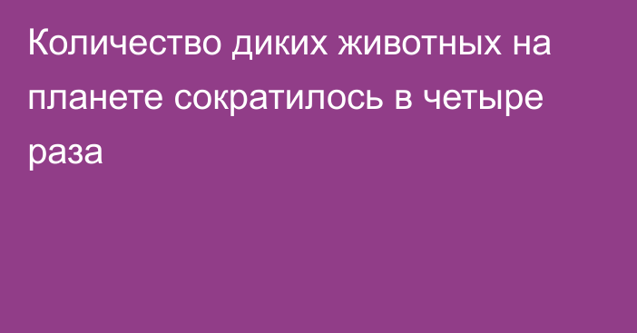 Количество диких животных на планете сократилось в четыре раза