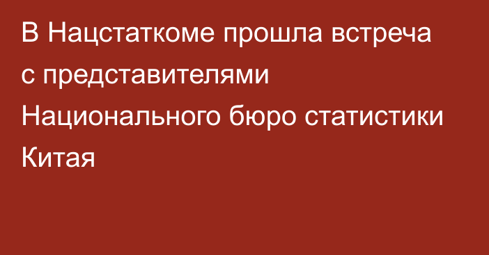 В Нацстаткоме прошла встреча с представителями Национального бюро статистики Китая