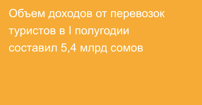 Объем доходов от перевозок туристов в I полугодии составил 5,4 млрд сомов