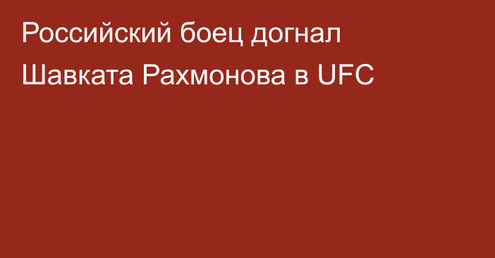 Российский боец догнал Шавката Рахмонова в UFC