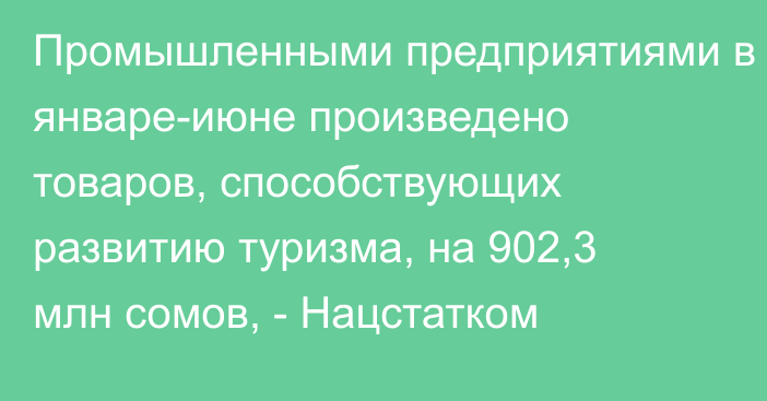 Промышленными предприятиями в январе-июне произведено товаров, способствующих развитию туризма, на 902,3 млн сомов, - Нацстатком