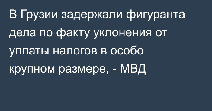 В Грузии задержали фигуранта дела по факту уклонения от уплаты налогов в особо крупном размере, - МВД