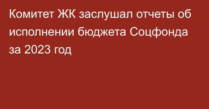 Комитет ЖК заслушал отчеты об исполнении бюджета Соцфонда за 2023 год