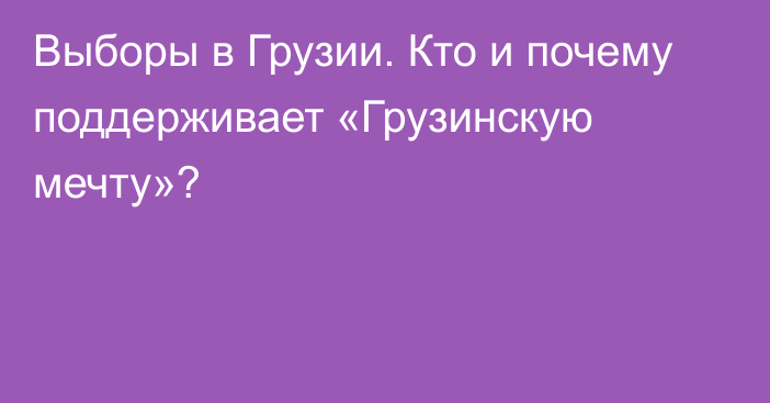 Выборы в Грузии. Кто и почему поддерживает «Грузинскую мечту»?