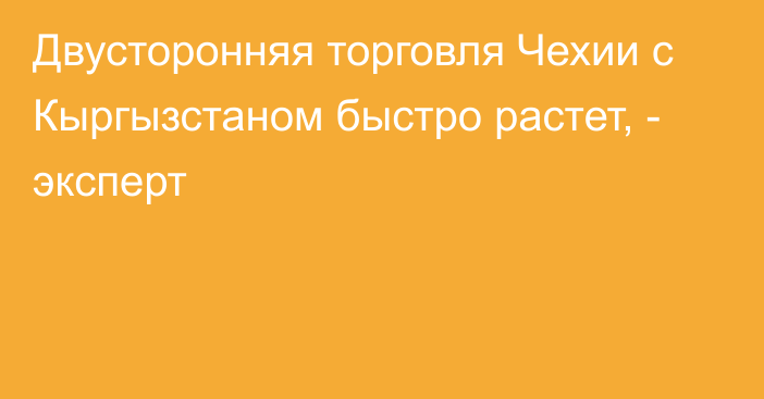 Двусторонняя торговля Чехии с Кыргызстаном быстро растет, - эксперт