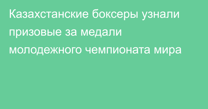 Казахстанские боксеры узнали призовые за медали молодежного чемпионата мира