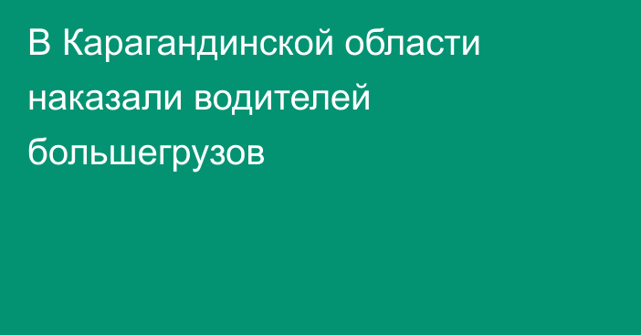 В Карагандинской области наказали водителей большегрузов