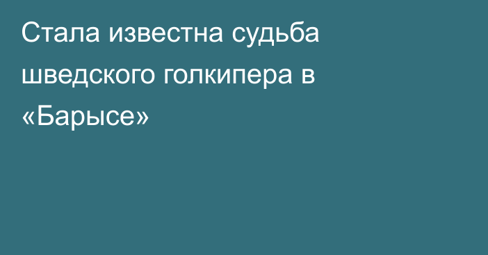 Стала известна судьба шведского голкипера в «Барысе»