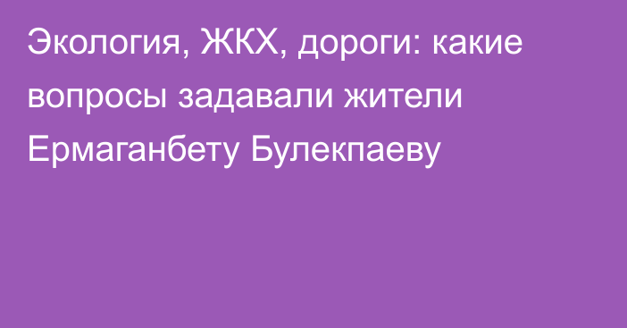 Экология, ЖКХ, дороги: какие вопросы задавали жители Ермаганбету Булекпаеву