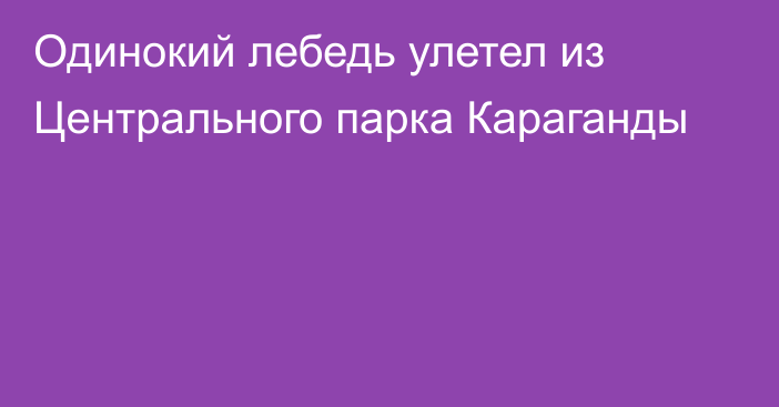 Одинокий лебедь улетел из Центрального парка Караганды