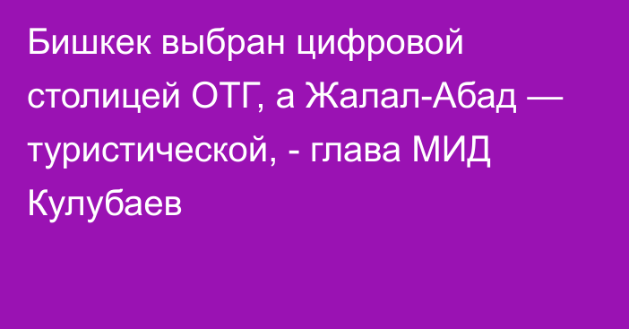 Бишкек выбран цифровой столицей ОТГ, а Жалал-Абад — туристической, - глава МИД Кулубаев