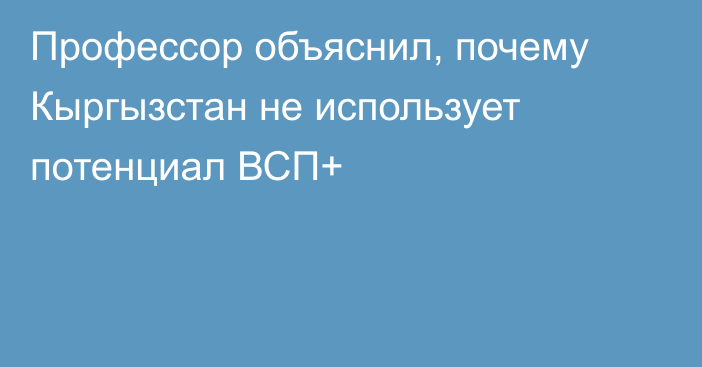 Профессор объяснил, почему Кыргызстан не использует потенциал ВСП+