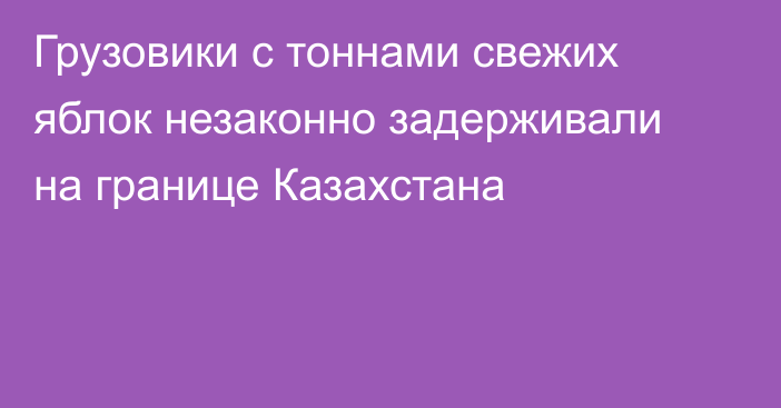 Грузовики с тоннами свежих яблок незаконно задерживали на границе Казахстана