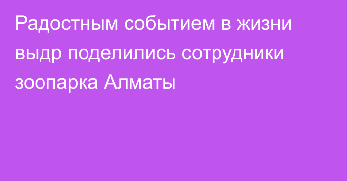 Радостным событием в жизни выдр поделились сотрудники зоопарка Алматы