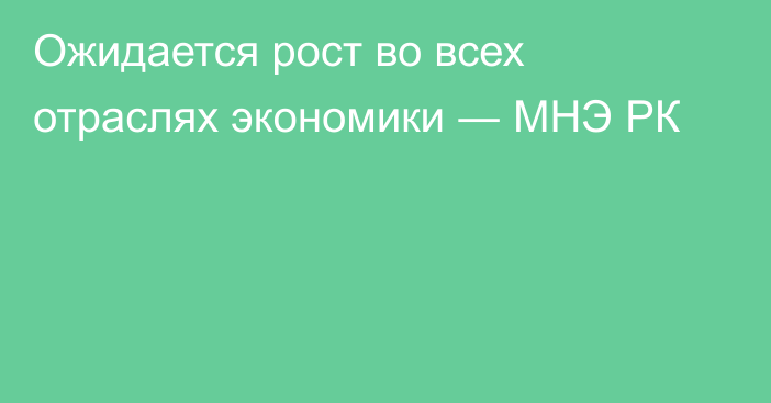 Ожидается рост во всех отраслях экономики ― МНЭ РК