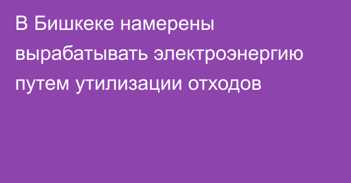 В Бишкеке намерены вырабатывать электроэнергию путем утилизации отходов