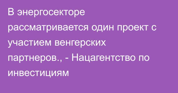 В энергосекторе рассматривается один проект с участием венгерских партнеров., - Нацагентство по инвестициям