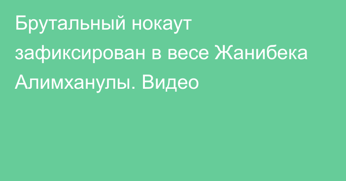 Брутальный нокаут зафиксирован в весе Жанибека Алимханулы. Видео