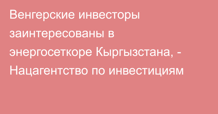 Венгерские инвесторы заинтересованы в энергосеткоре Кыргызстана, - Нацагентство по инвестициям