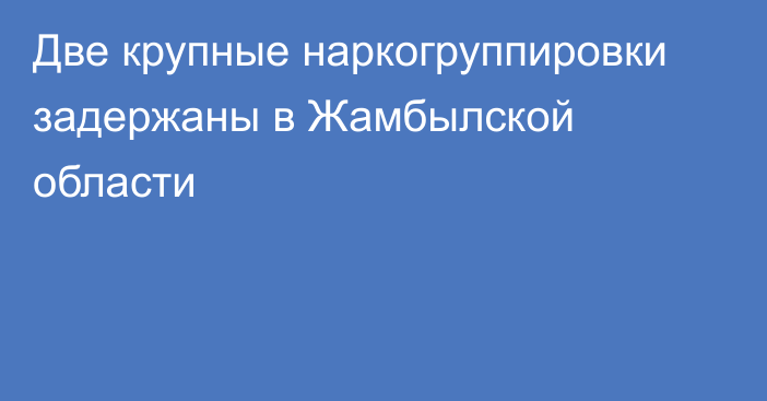 Две крупные наркогруппировки задержаны в Жамбылской области