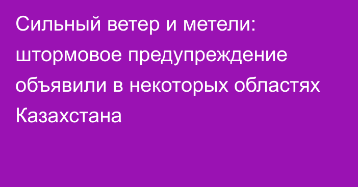 Сильный ветер и метели: штормовое предупреждение объявили в некоторых областях Казахстана