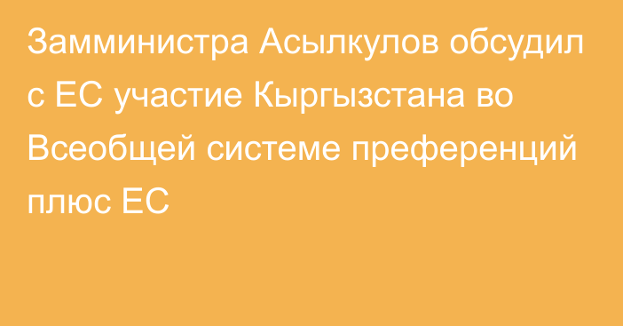 Замминистра Асылкулов обсудил с ЕС участие Кыргызстана во Всеобщей системе преференций плюс ЕС