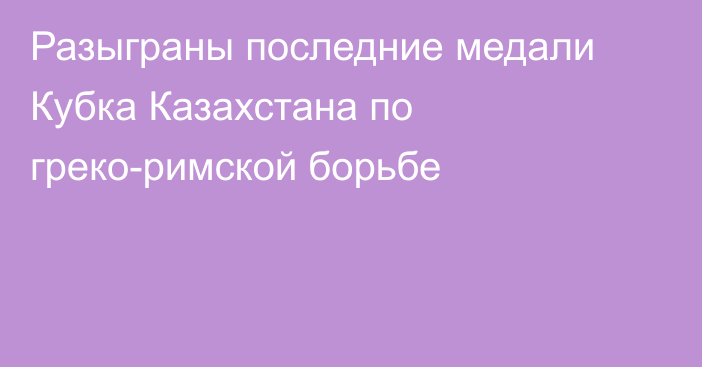 Разыграны последние медали Кубка Казахстана по греко-римской борьбе