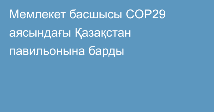 Мемлекет басшысы СOP29 аясындағы Қазақстан павильонына барды