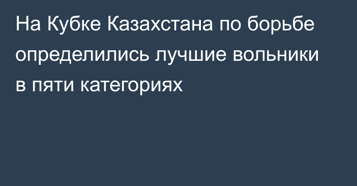 На Кубке Казахстана по борьбе определились лучшие вольники в пяти категориях