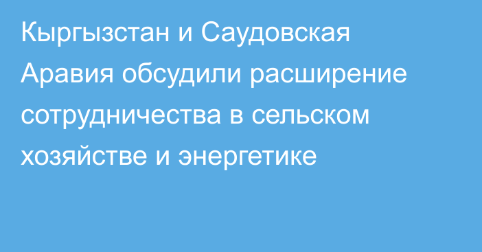 Кыргызстан и Саудовская Аравия обсудили расширение сотрудничества в сельском хозяйстве и энергетике