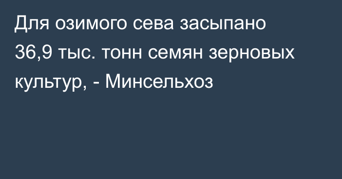 Для озимого сева засыпано 36,9 тыс. тонн семян зерновых культур, - Минсельхоз