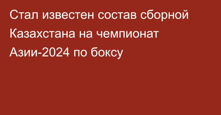 Стал известен состав сборной Казахстана на чемпионат Азии-2024 по боксу