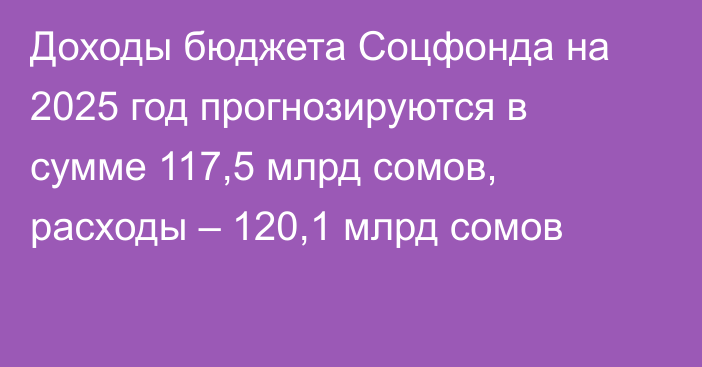 Доходы бюджета Соцфонда на 2025 год прогнозируются в сумме 117,5 млрд сомов, расходы – 120,1 млрд сомов