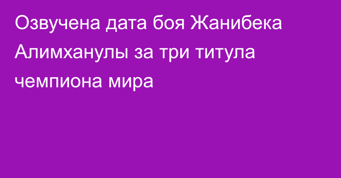 Озвучена дата боя Жанибека Алимханулы за три титула чемпиона мира