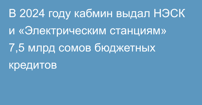 В 2024 году кабмин выдал НЭСК и «Электрическим станциям» 7,5 млрд сомов бюджетных кредитов