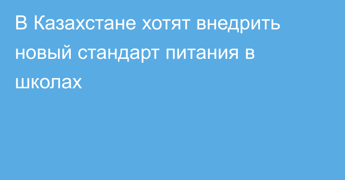 В Казахстане хотят внедрить новый стандарт питания в школах