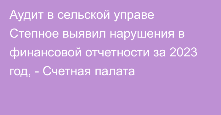 Аудит в сельской управе Степное выявил нарушения в финансовой отчетности за 2023 год, - Счетная палата