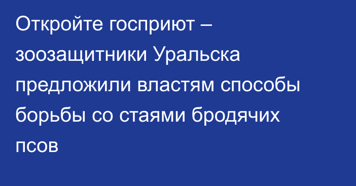 Откройте госприют – зоозащитники Уральска предложили властям способы борьбы со стаями бродячих псов