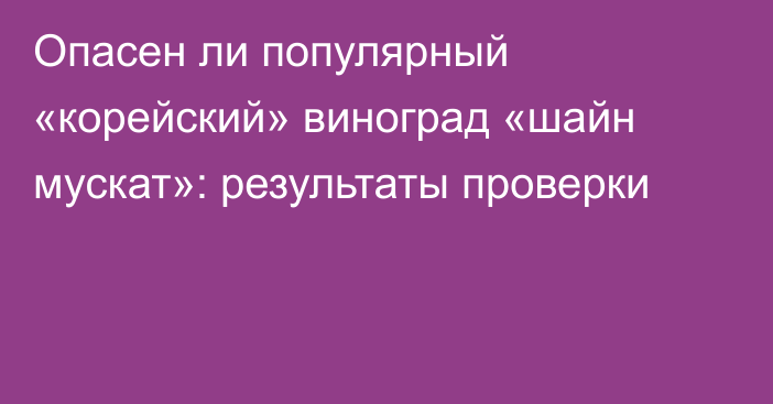 Опасен ли популярный «корейский» виноград «шайн мускат»: результаты проверки