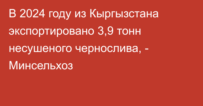 В 2024 году из Кыргызстана экспортировано 3,9 тонн несушеного чернослива, - Минсельхоз