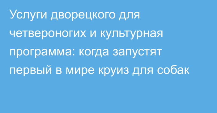 Услуги дворецкого для четвероногих и культурная программа: когда запустят первый в мире круиз для собак