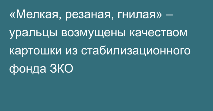 «Мелкая, резаная, гнилая» – уральцы возмущены качеством картошки из стабилизационного фонда ЗКО