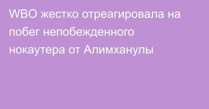 WBO жестко отреагировала на побег непобежденного нокаутера от Алимханулы