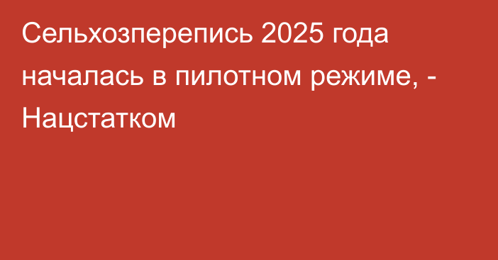 Сельхозперепись 2025 года началась в пилотном режиме, - Нацстатком