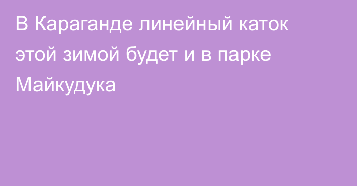 В Караганде линейный каток этой зимой будет и в парке Майкудука